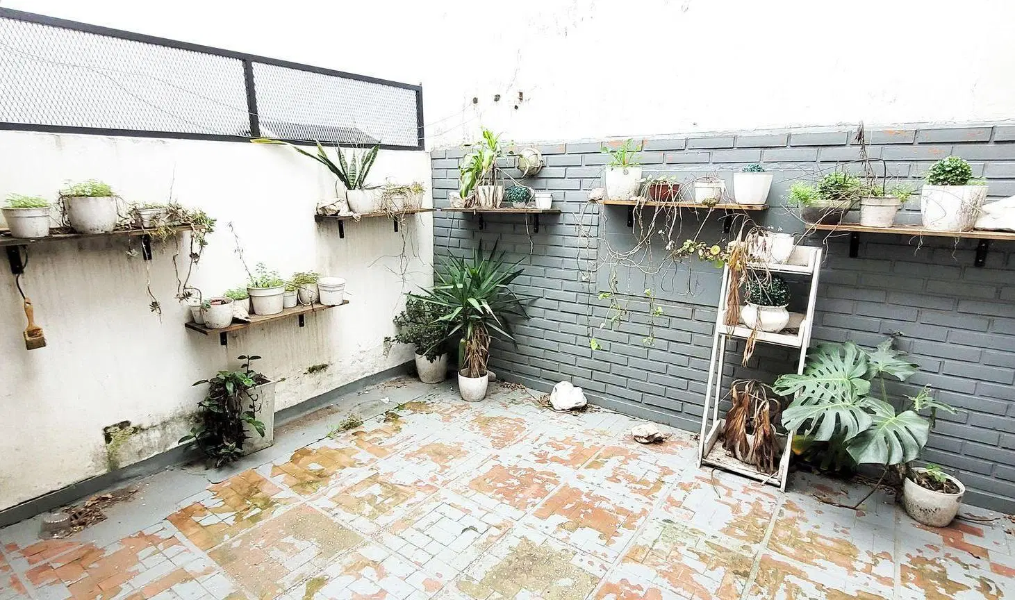 Duplex 4 ambientes con Cochera y Patio en Florida 4