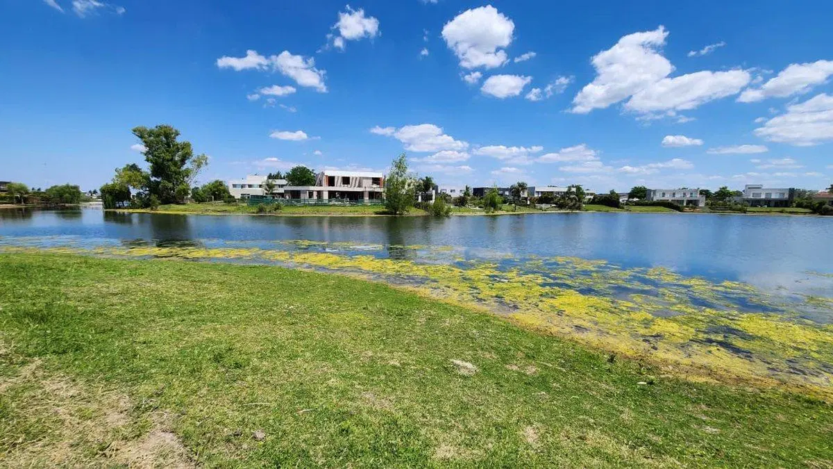 EN VENTA LOTE A LA LAGUNA  EN SAN MATÍAS ÁREA 5 2