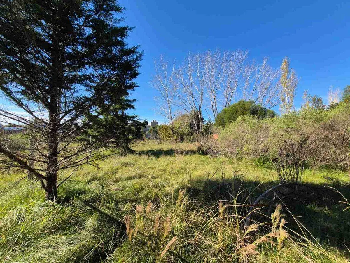 LOTES TERRENO VENTA PILAR CAAMAÑO 4