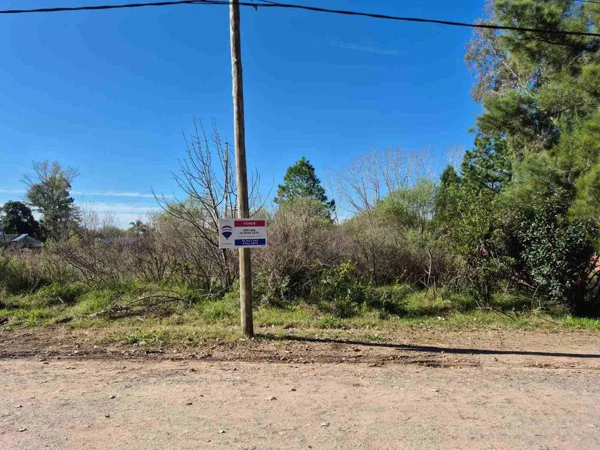 LOTES TERRENO VENTA PILAR CAAMAÑO 2