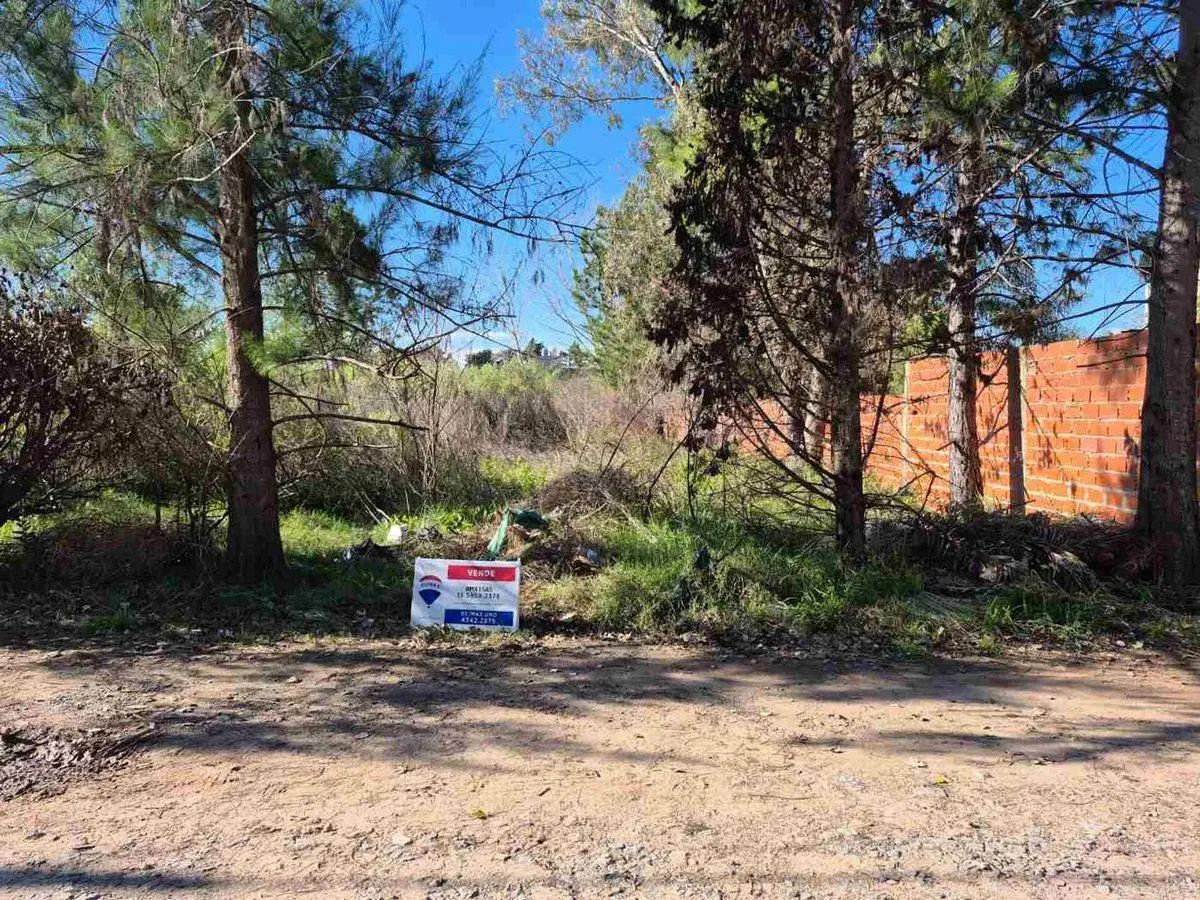 LOTES TERRENO VENTA PILAR CAAMAÑO 5