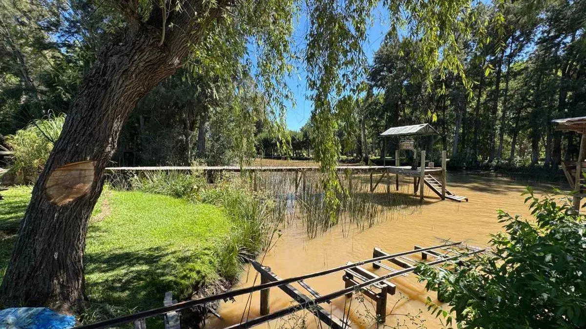 VENTA Cabaña en Islas del Paraná - Rio Carapachay 5