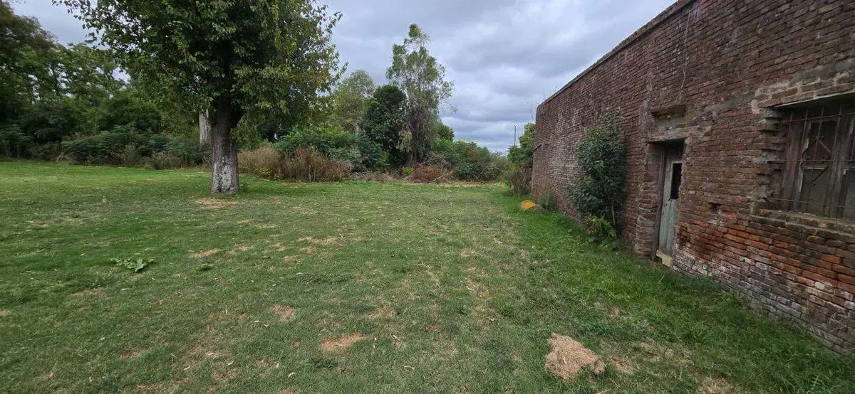 Alquiler complejo y terreno + galpon industrial 3