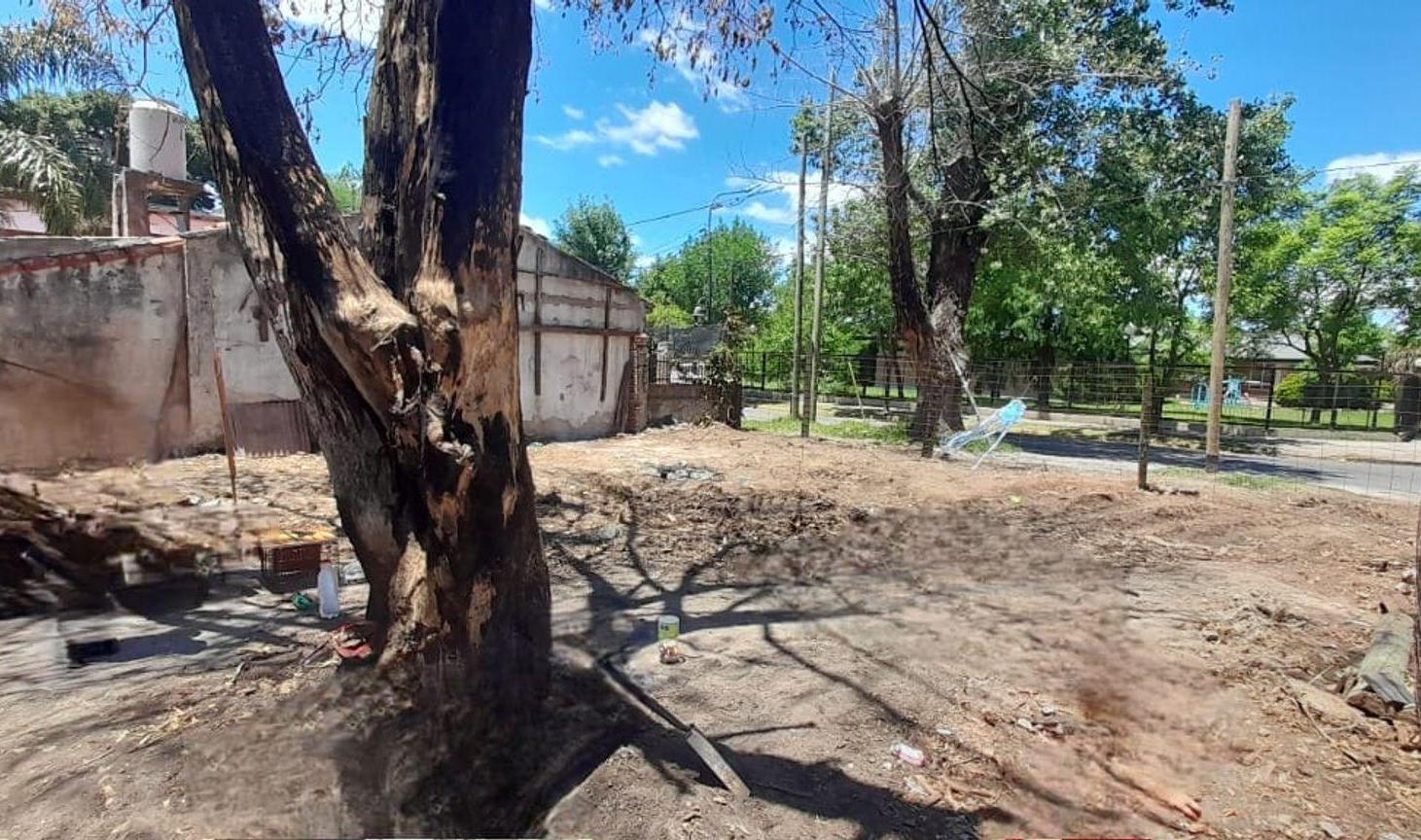 Foto de Lote venta Troncos del Talar- Camino Bancalari, imagen 3