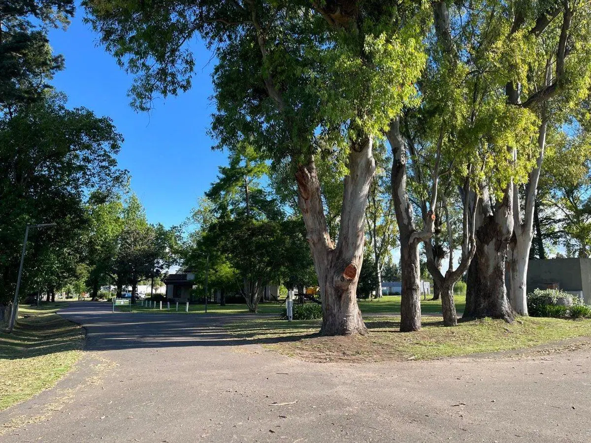 VENTA LOTE DE 1000 MTS EN BARRIO MATISSE CARDALES 3