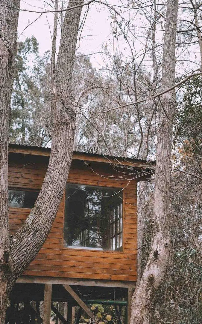 Venta Cabaña – Arroyo Caraguatá – DELTA 2