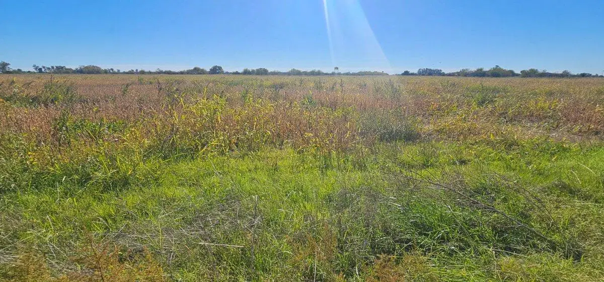 VENTA CAMPO EN NAVARRO 5