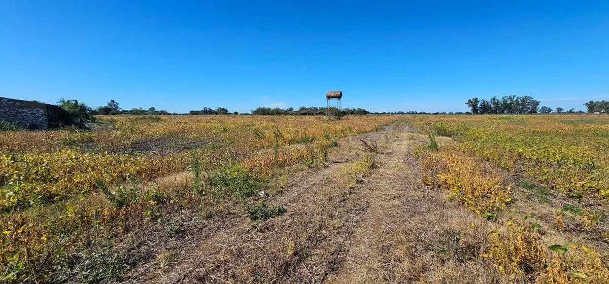 VENTA CAMPO EN NAVARRO 2