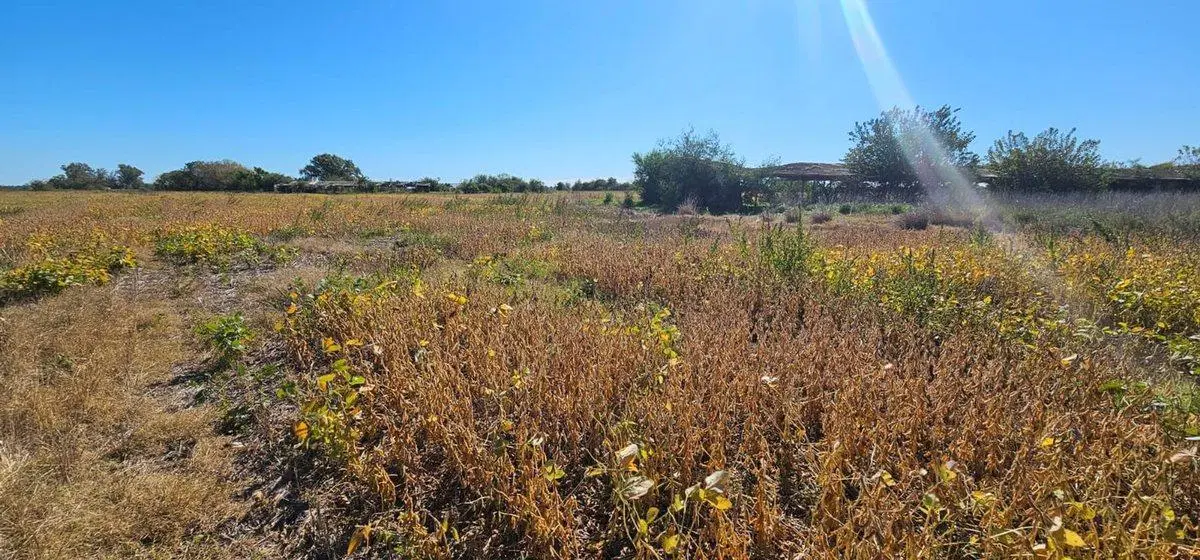VENTA CAMPO EN NAVARRO 4