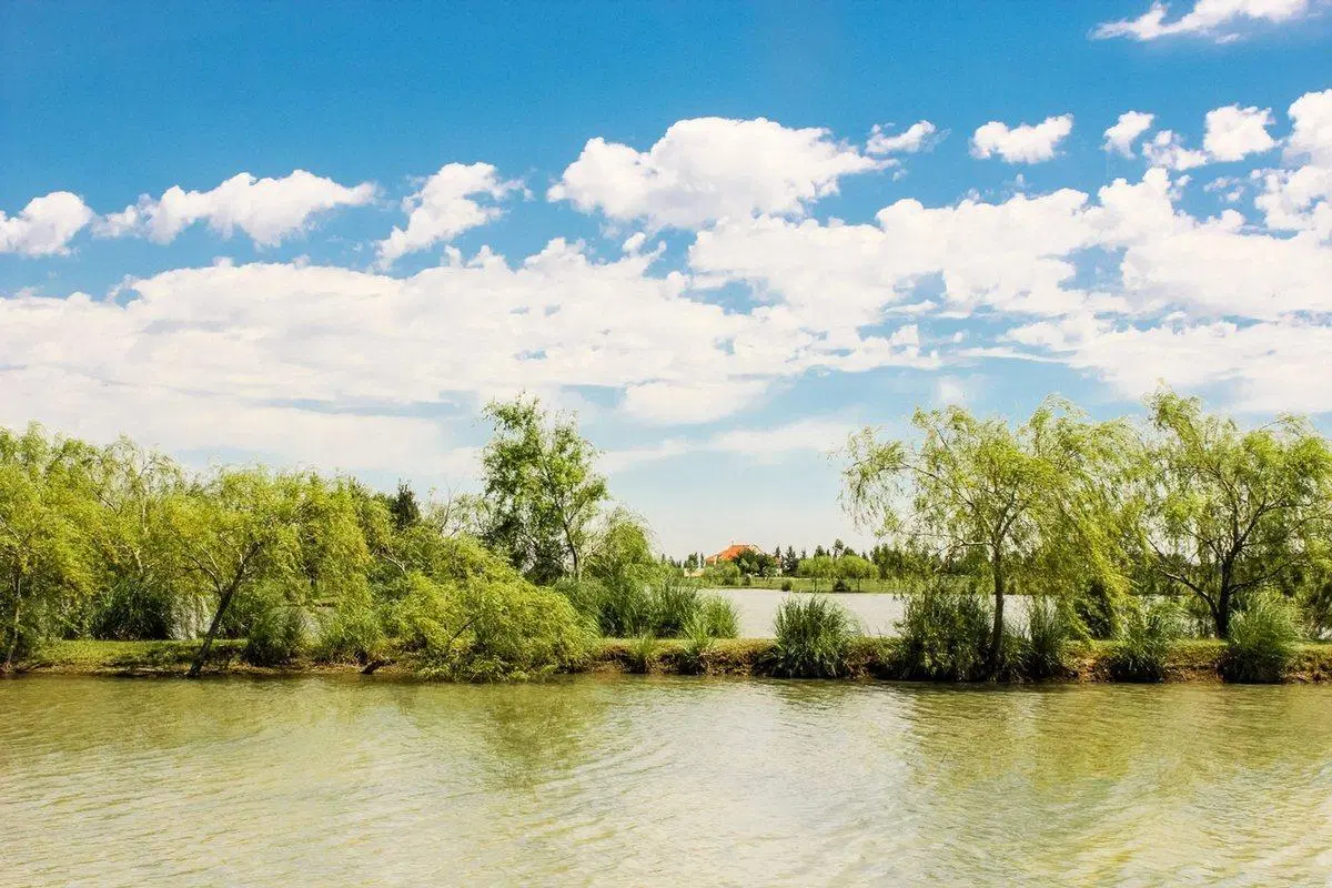 LOTE EN VENTA - Fincas de San Vicente Sporting 4