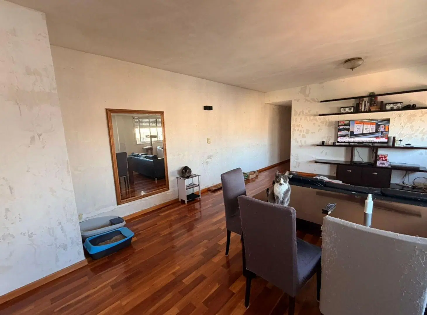 VENTA departamento de 3 ambientes en La Lucila 2