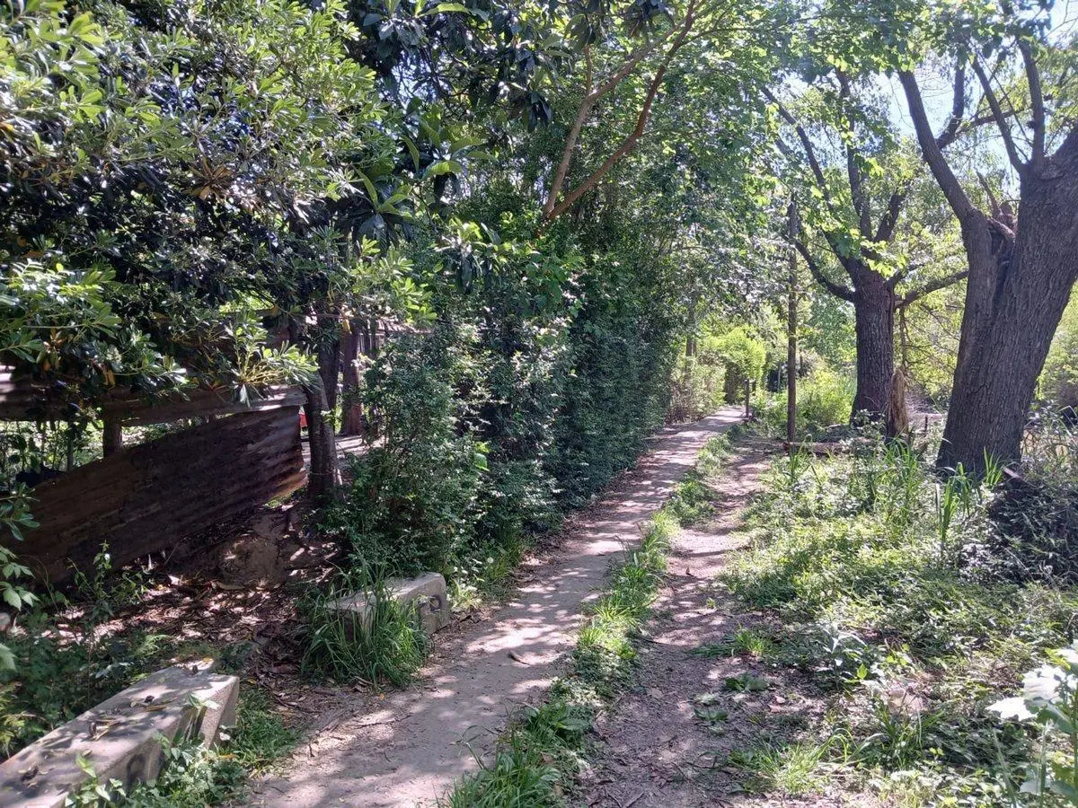 Terreno en Delta Tigre - 5000 m2 4