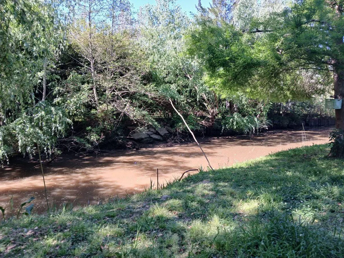 Terreno en Delta Tigre - 5000 m2 5