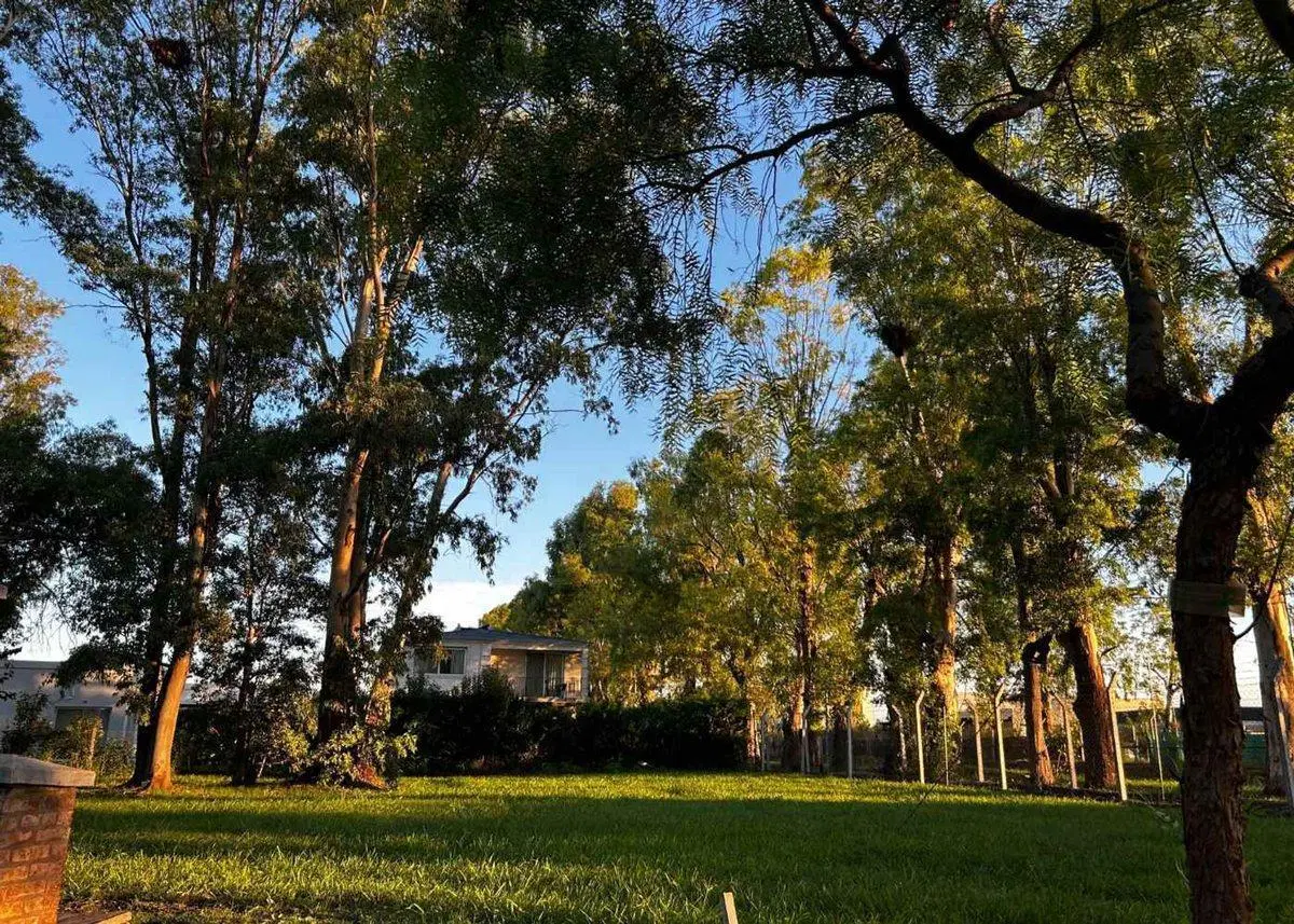 LOTE Perimetral EN SANTA ELENA-PILAR DEL ESTE 3