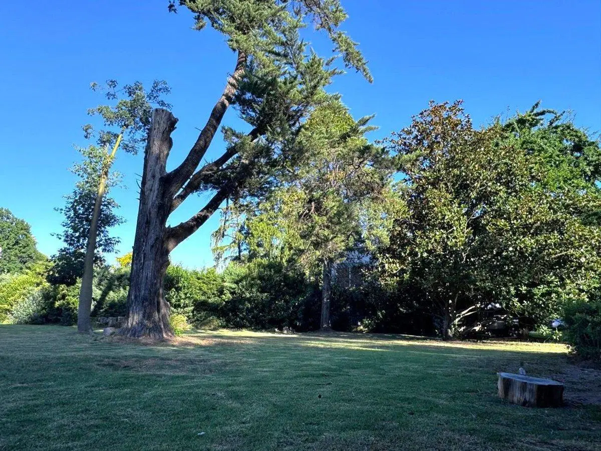 LOTE VENTA VILLA BERTHA BENAVIDEZ - OPORTUNIDAD!! 5
