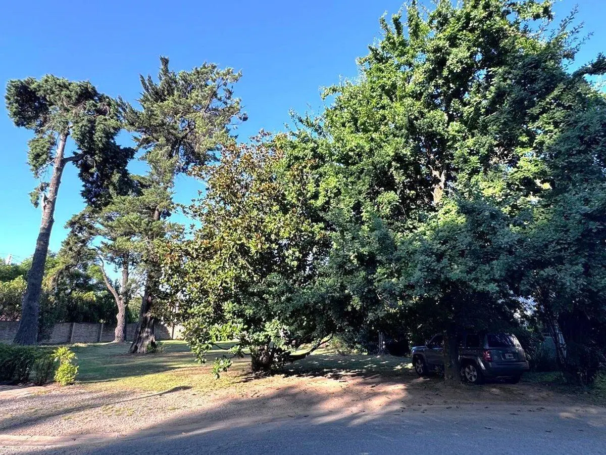LOTE VENTA VILLA BERTHA BENAVIDEZ - OPORTUNIDAD!! 4