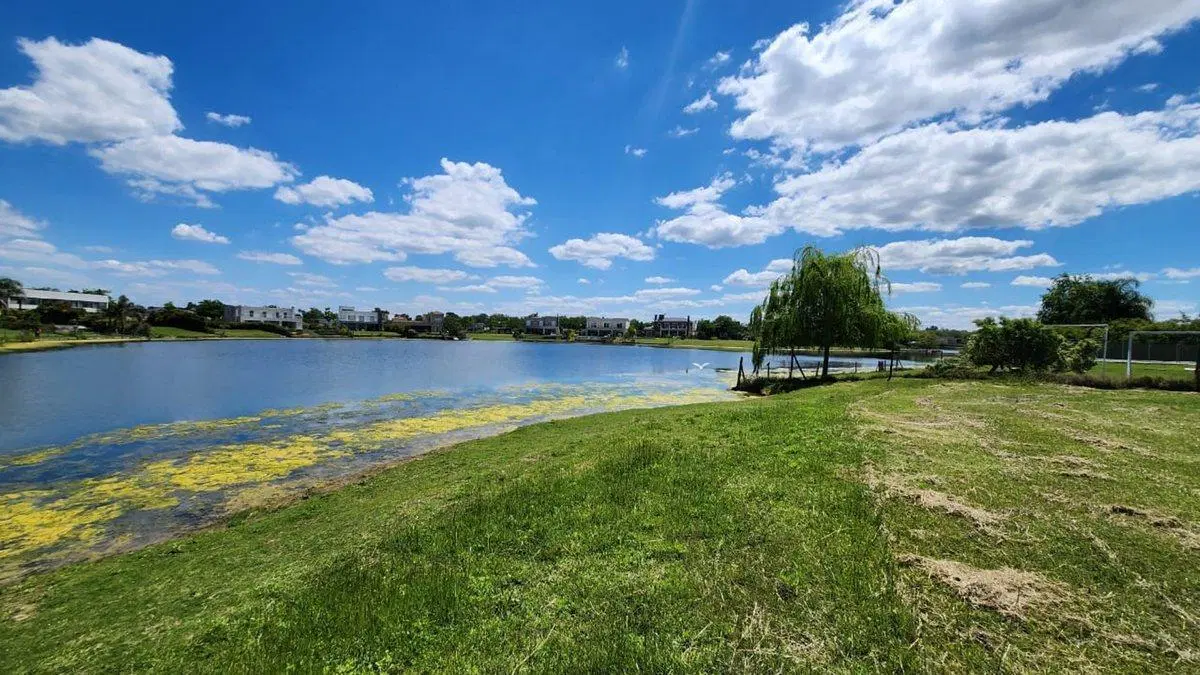 EN VENTA LOTE A LA LAGUNA  EN SAN MATÍAS ÁREA 5 8