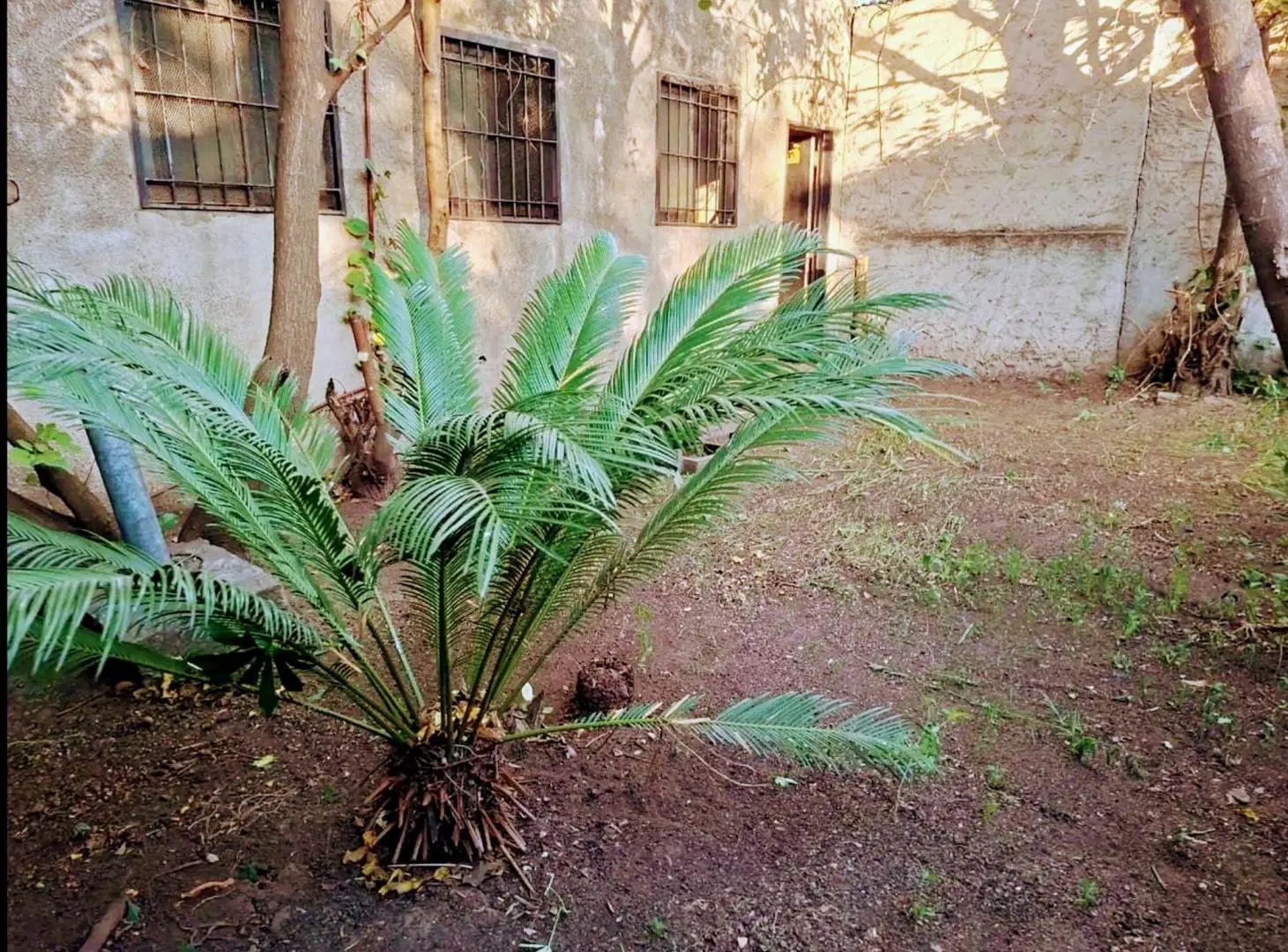 Venta de Galpón en Matheu, Escobar lote 312 m2 3