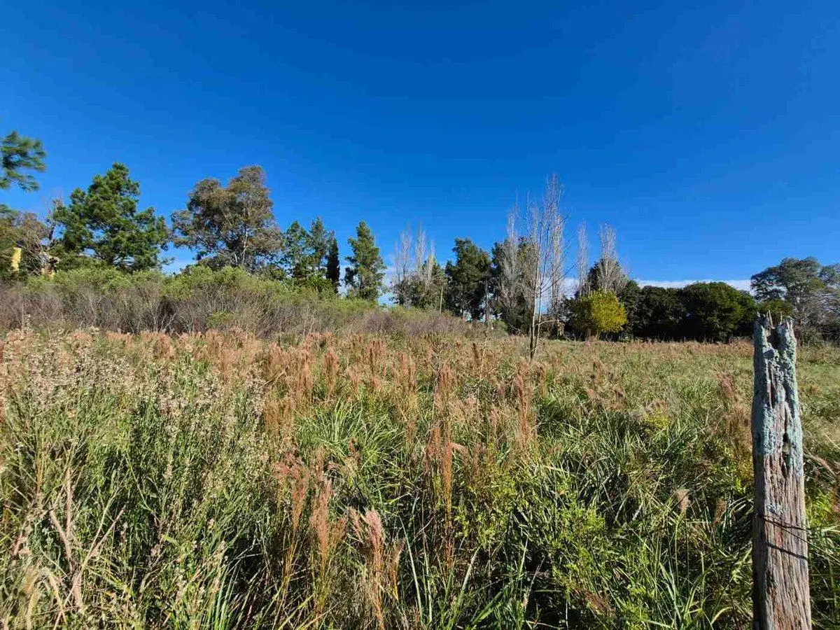 LOTES TERRENO VENTA PILAR CAAMAÑO 3