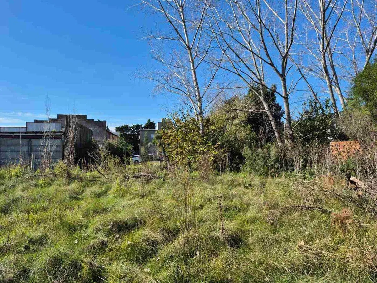 LOTES TERRENO VENTA PILAR CAAMAÑO 2