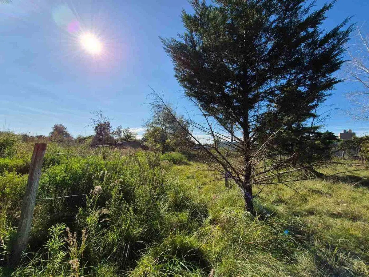 LOTES TERRENO VENTA PILAR CAAMAÑO 8