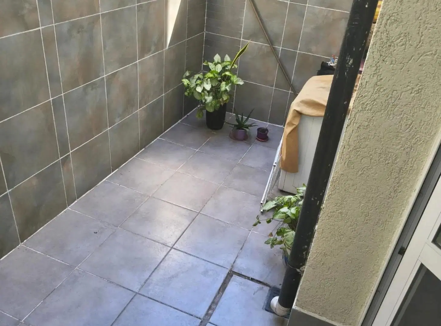 ALQUILER DEPARTAMENTO MONOAMBIENTE PATIO SAAVEDRA 3