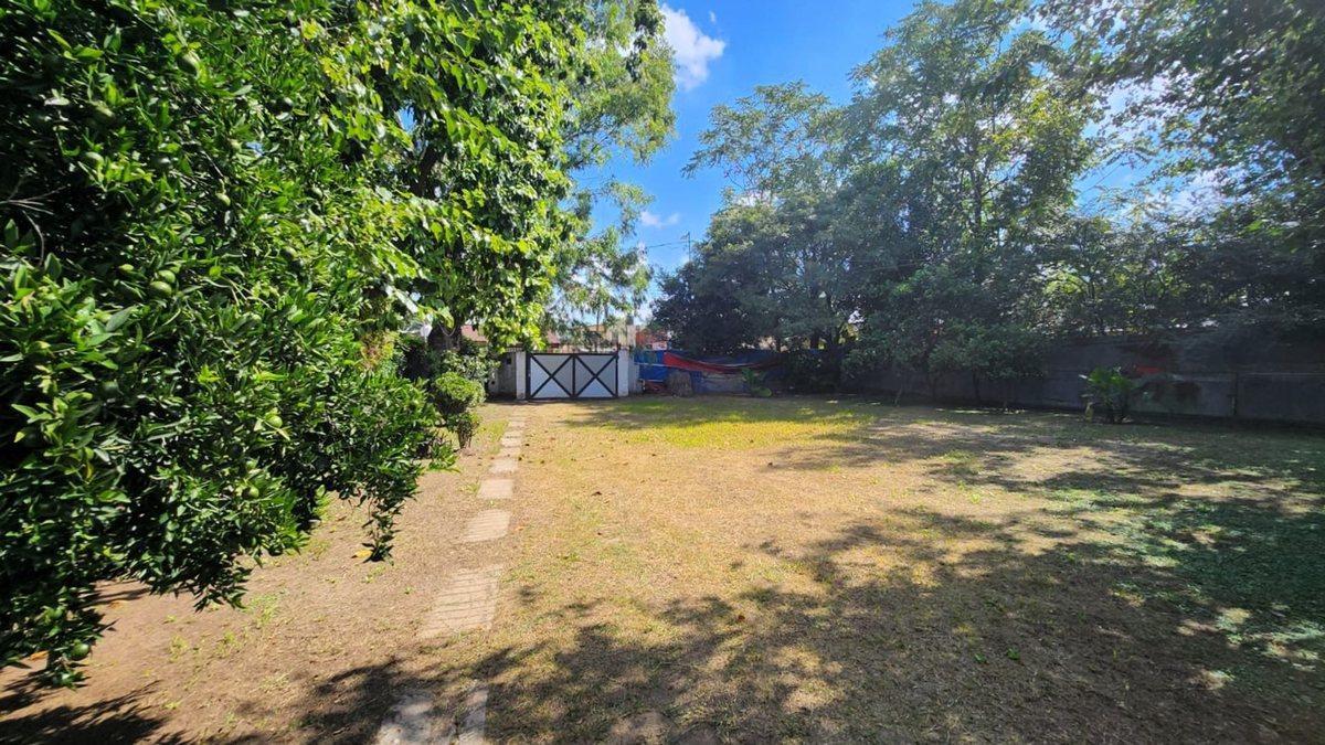 Foto de Casa en venta a reciclar Grand Bourg Lote 1110 m2, imagen 4