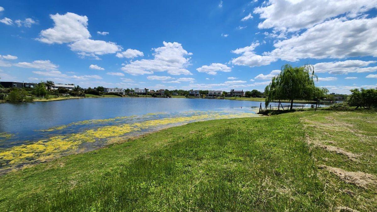 Foto de EN VENTA LOTE A LA LAGUNA EN SAN MATÍAS ÁREA 5, imagen 1