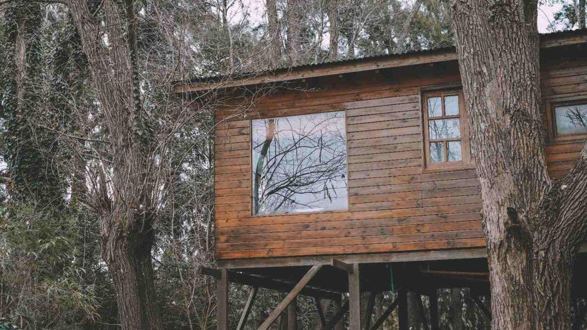 Foto de Venta Cabaña – Arroyo Caraguatá – DELTA, imagen 1