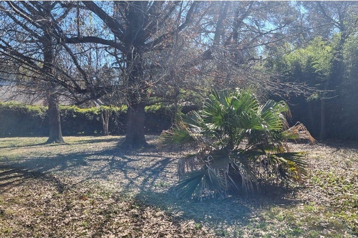 Foto de Terreno a la Venta en La Lonja, Pilar, imagen 4