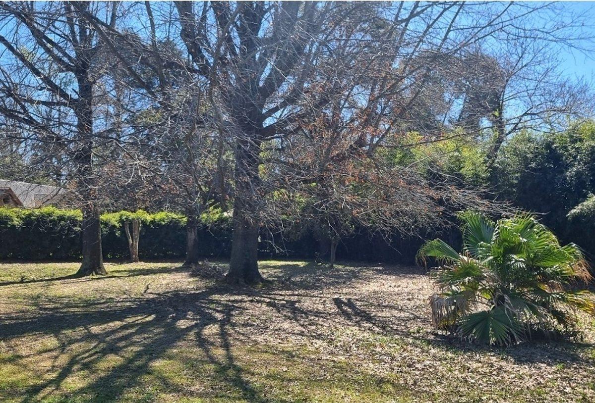 Foto de Terreno a la Venta en La Lonja, Pilar, imagen 3