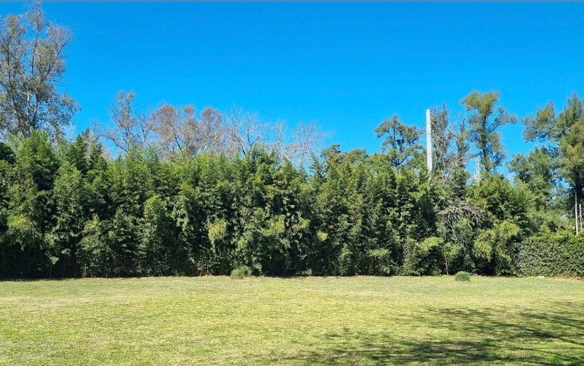 Foto de Terreno a la Venta en La Lonja, Pilar, imagen 4