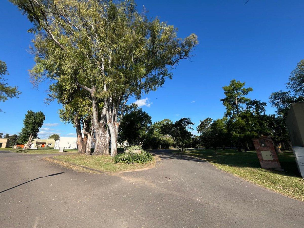 Foto de VENTA DE LOTE EN BARRIO MATISSE LOS CARDALES, imagen 4
