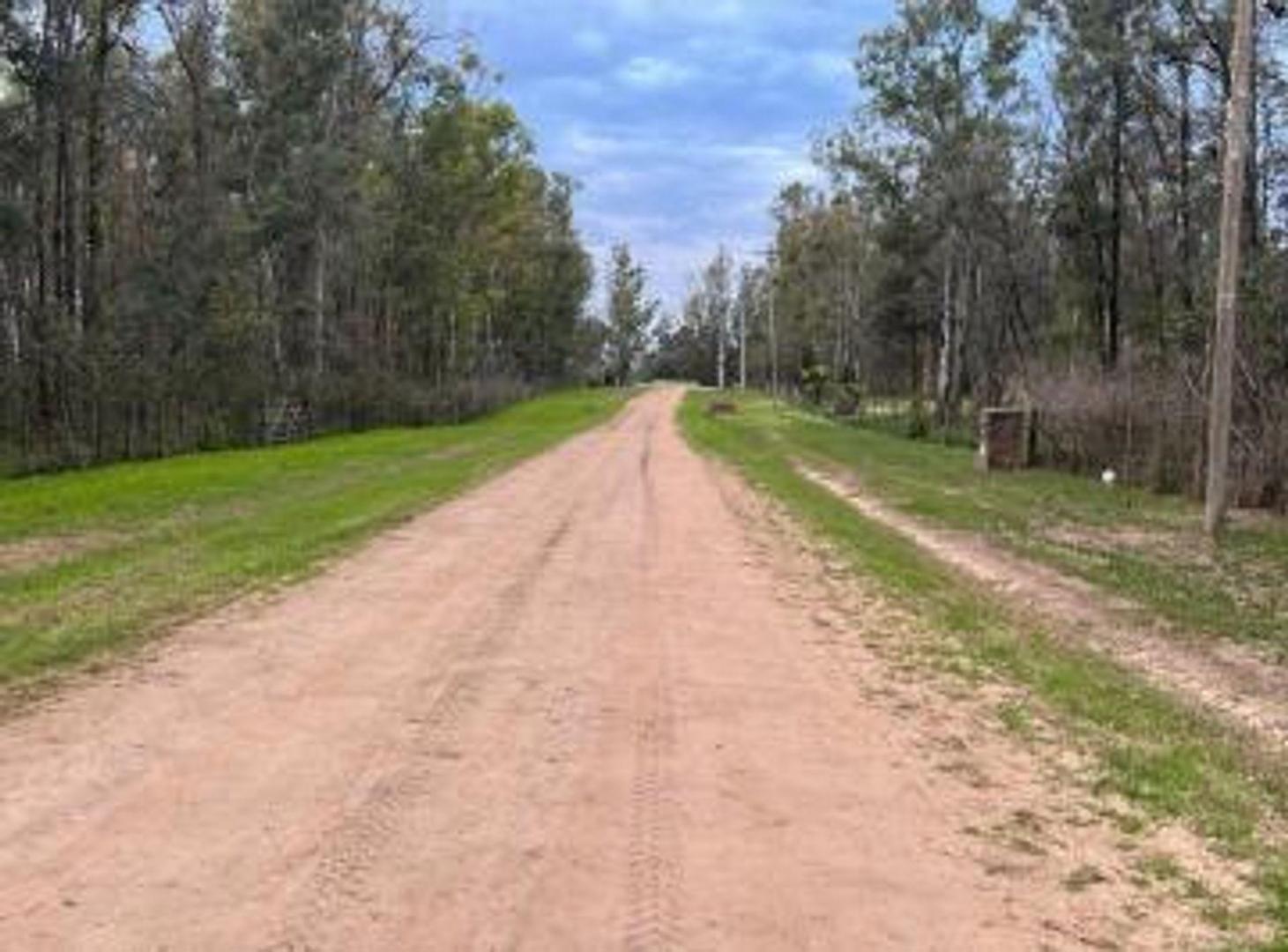 Foto de Venta lote en Estrella Federal Ramallo, imagen 2