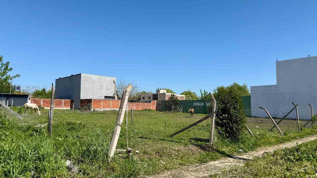 Foto de LOTE EN VENTA DE 1600M2 EN BERAZATEGUI, imagen 3