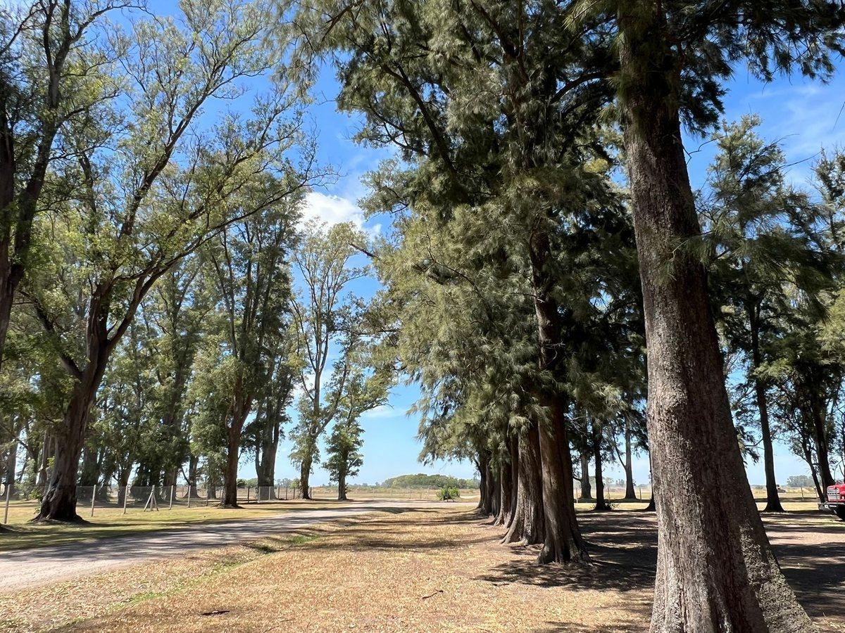 Foto de Venta Lote en Tres Pinos, Gral Rodriguez, imagen 2