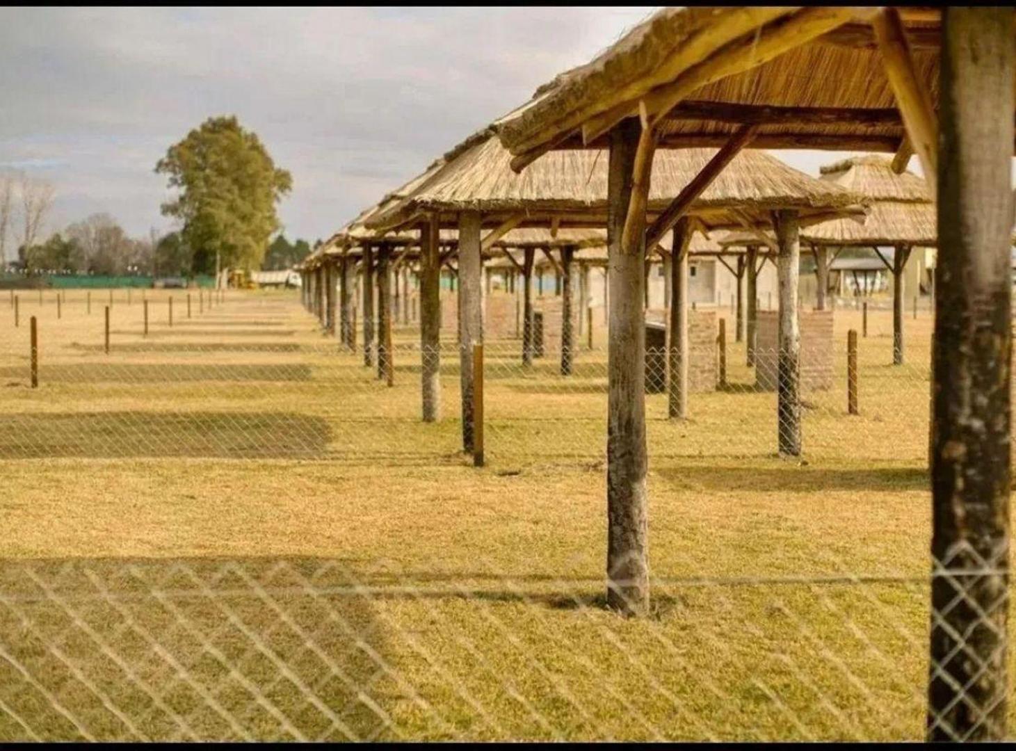 Foto de VENTA EN DON EUGENIO 2 (TERRENO), imagen 4