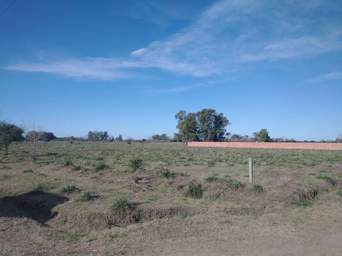 Foto de venta LOTE DE 1700 M2 EN GRAL RODRIGUEZ, imagen 4