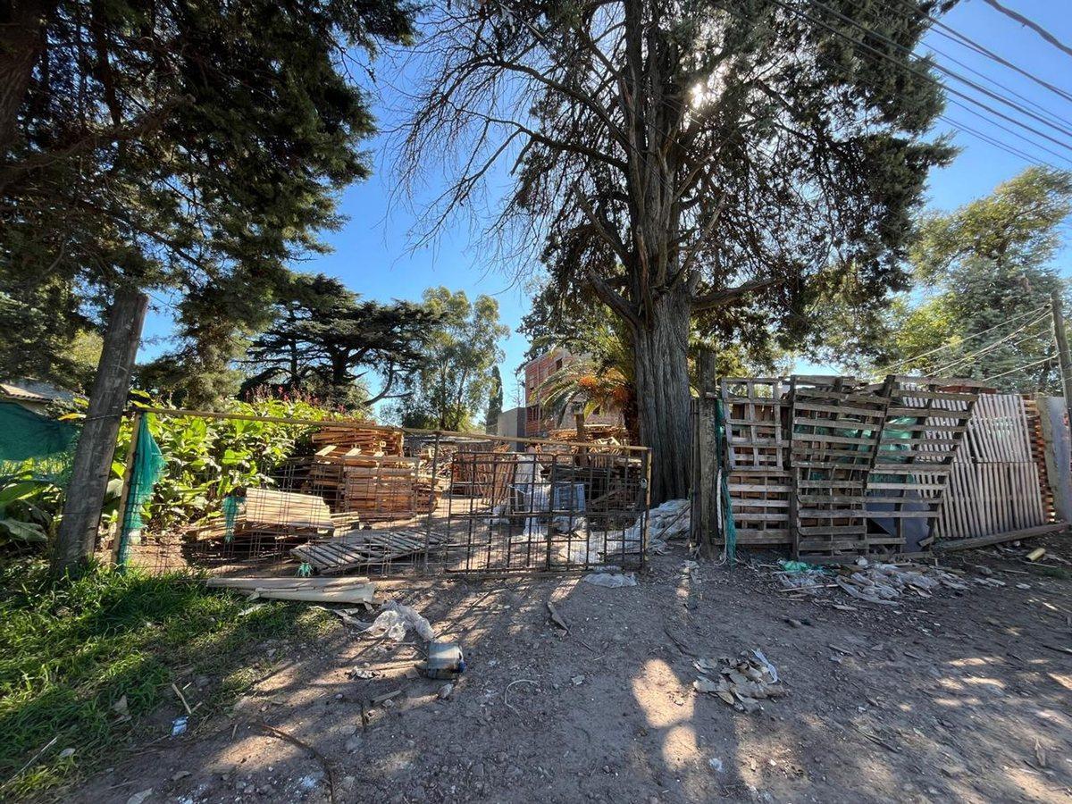 Foto de VENTA DE LOTE 637 MTS EN BENAVIDEZ / TIGRE, imagen 3