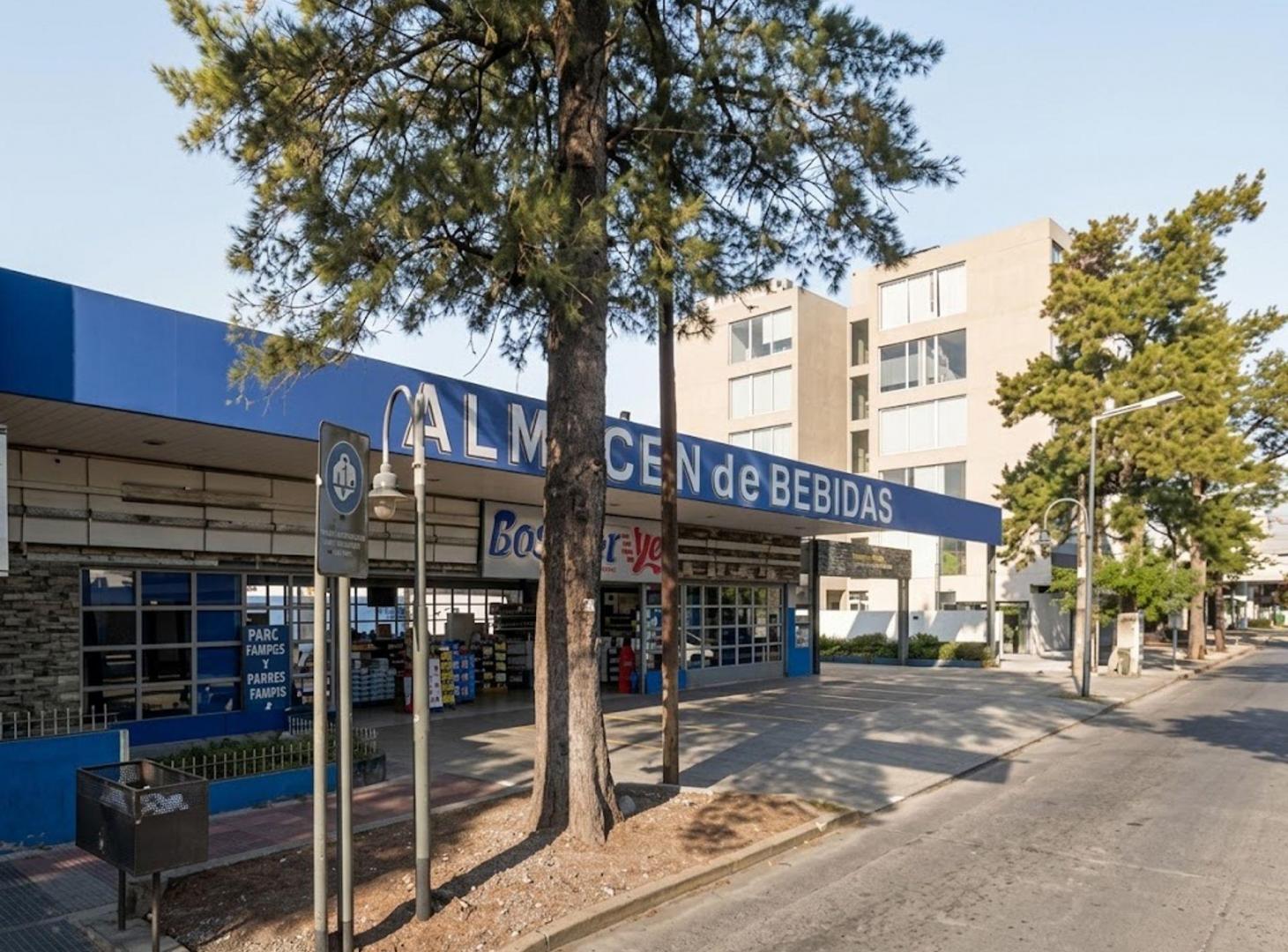 Foto de TERRENO EN VENTA SAN FERNANDO IDEAL DESARROLLO AV, imagen 5