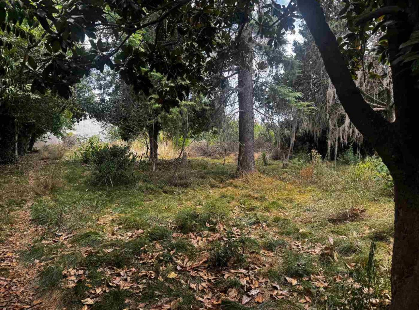 Foto de TERRENO EN VENTA DERQUI PILAR 8200 METROS, imagen 3