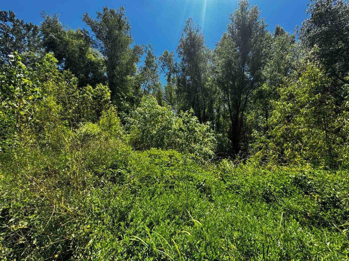 Foto de TERRENO EN VENTA ESCOBAR 3 HECTAREAS RUTA 25, imagen 4