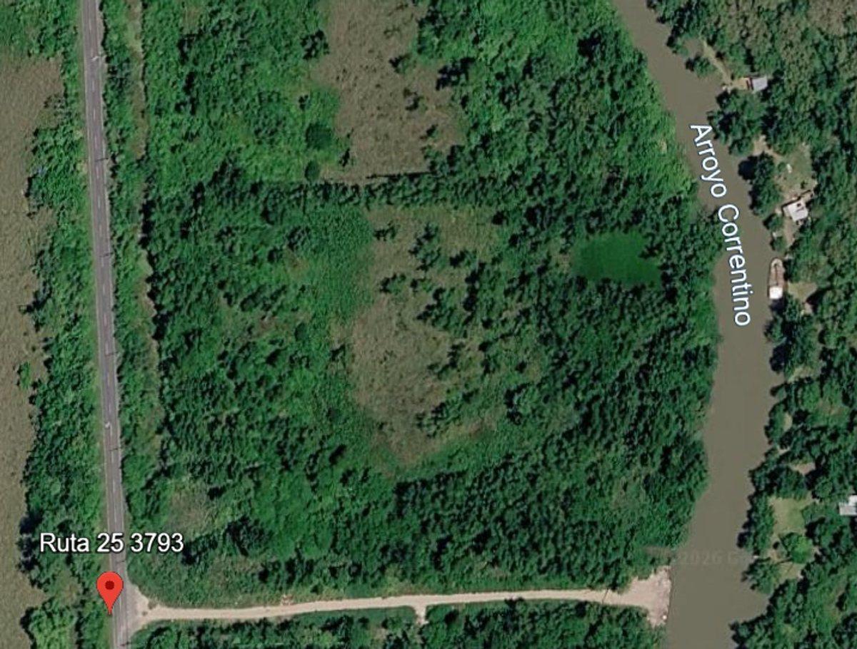 Foto de TERRENO EN VENTA ESCOBAR 3 HECTAREAS RUTA 25, imagen 2