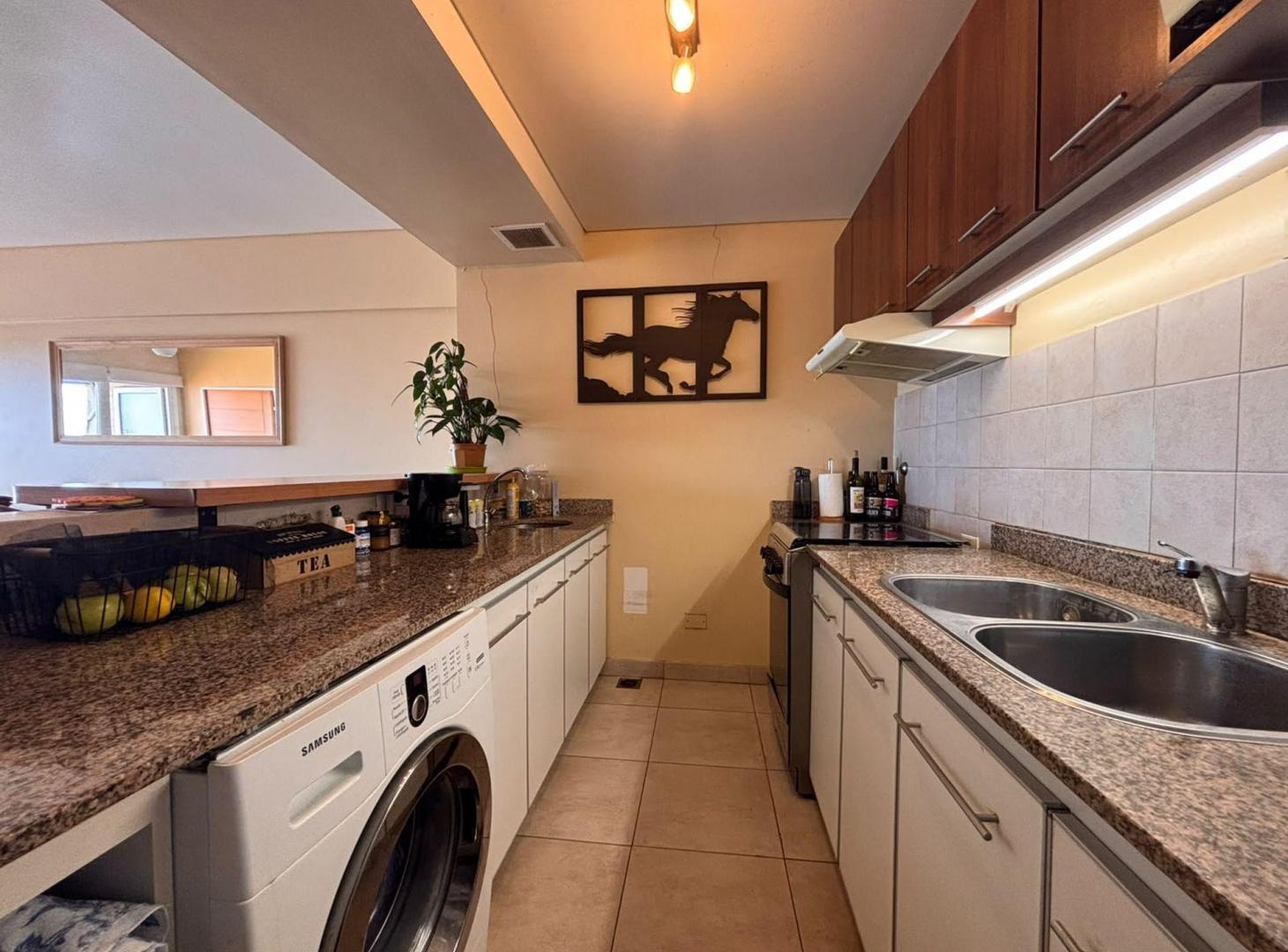 Foto de VENTA DEPARTAMENTO 2 AMB BARRANCAS VICENTE LOPEZ, imagen 4