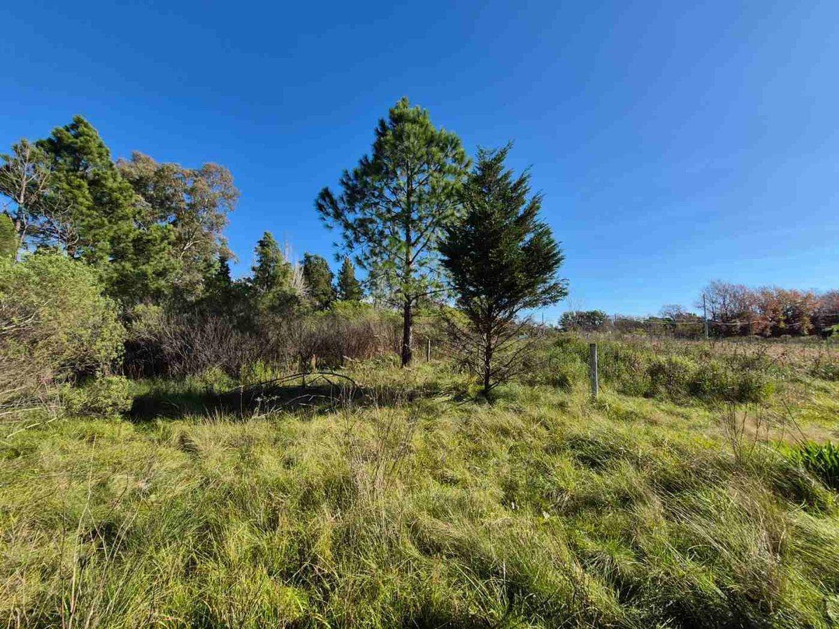Foto de LOTES TERRENO VENTA PILAR CAAMAÑO, imagen 3