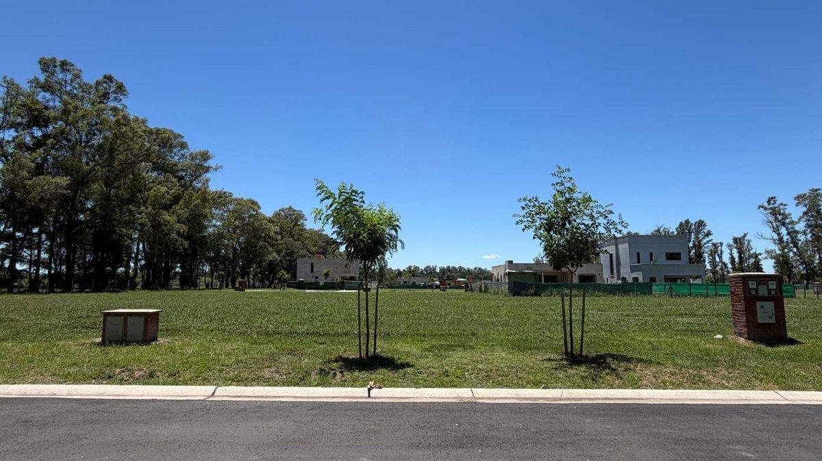 Foto de VENTA LOTE INTERNO EN PILAR DEL ESTE - SANTA SOFIA, imagen 2