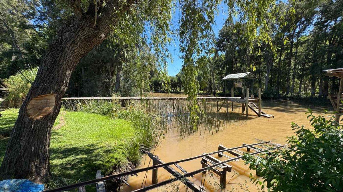 Foto de VENTA Cabaña en Islas del Paraná - Rio Carapachay, imagen 5