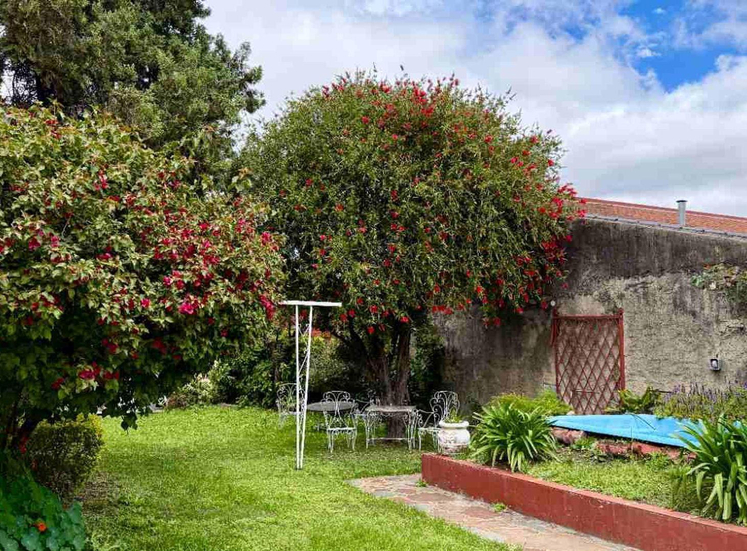 Foto de CASA SOBRE LOTE PROPIO 376 MTS (8,66 x 43 aprox), imagen 1