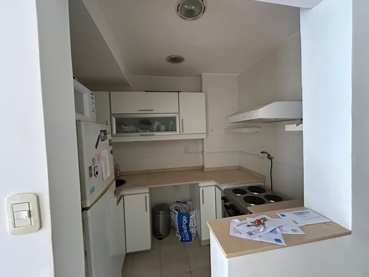 Foto de Departamento en Alquiler en Recoleta, Luminoso, imagen 5