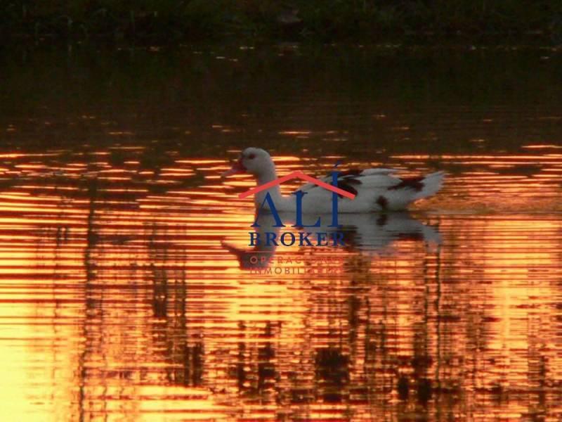 Foto de CAMPO GRANDE CLUB DE CAMPO LOTES EN VENTA ALIBROKER, imagen 4